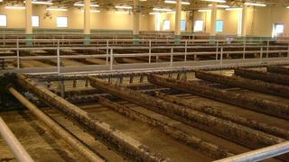 Auch die kommunale Kläranlage in Columbia, im US-Bundesstaat Ohio, wurde mit den ?Mehrphasenpumpen von Edur ausgestattet. (Bild: Edur)