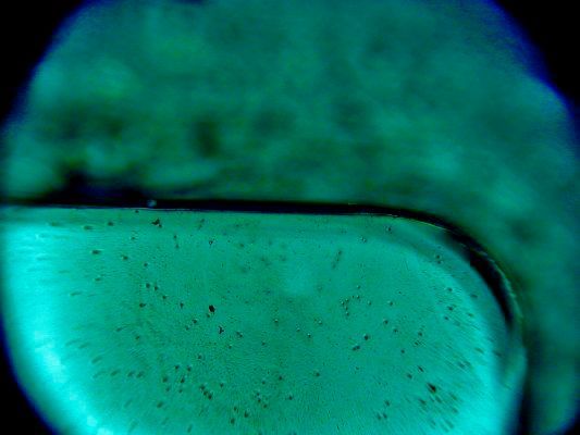 Das Bild zeigt in der Bildmitte die Laminat-Kante - unterhalb ist der Blick durch den gebondeten Optical Stack mit sichtbar gemachtem PSA-Kleber und dessen Eigenschaften: schwarze Stellen zeigen massgeblich Blasenbildung (mehr ist schlechter) und gelblich/beige umrandete Konturen zeigen Haftungs-Probleme.   (Bild: Wammes und Partner)