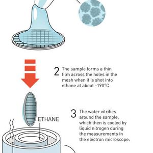 (Johan Jarnestad/ The Royal Swedish Academy of Sciences)