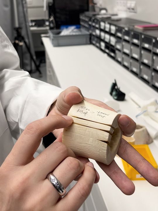 Chirurgische Laser konnten Knochen bisher nur sehr oberflächlich schneiden. Mit einer anderen Energieverteilung im Laserstrahl erreichen Forscher deutlich tiefere Schnitte als zuvor, hier am Beispiel von Rinderknochen. (Bild:  Universität Basel, Catherine Weyer)