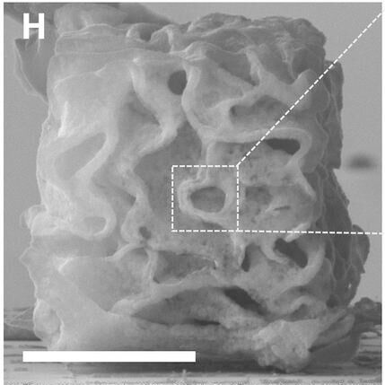 An SEM image of another nickel nano-architecture fabricated by the Greer lab (scale bar = 5 microns). This example is a spinodal-like nano-architecture. Box I shows a zoomed in view of the 2 micron x 2 micron dashed area in H. Box J features a CAD model based on the SEM image.(Source:  Greer Lab/ Caltech)