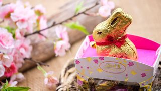 Der Schweizer Hersteller Lindt & Sprüngli will auch 2025 die Preise für Schokolade erhöhen. (Bild: frei lizenziert)