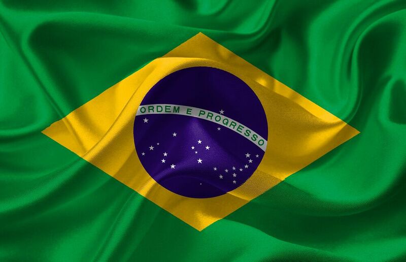 9. Brazil: 54 million euros in sales in 2020.  (Source: Pixabay)