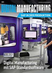 dm-sh-sap-2021-titel-500 ()