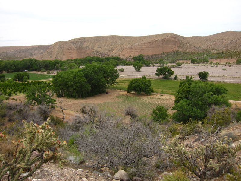 Überblick über das Versuchsfeld im Lytle Preserve im Südwesten des US-amerikanischen Bundesstaates Utah. (Bild: Arne Weinhold, MPI chem. Ökol.)