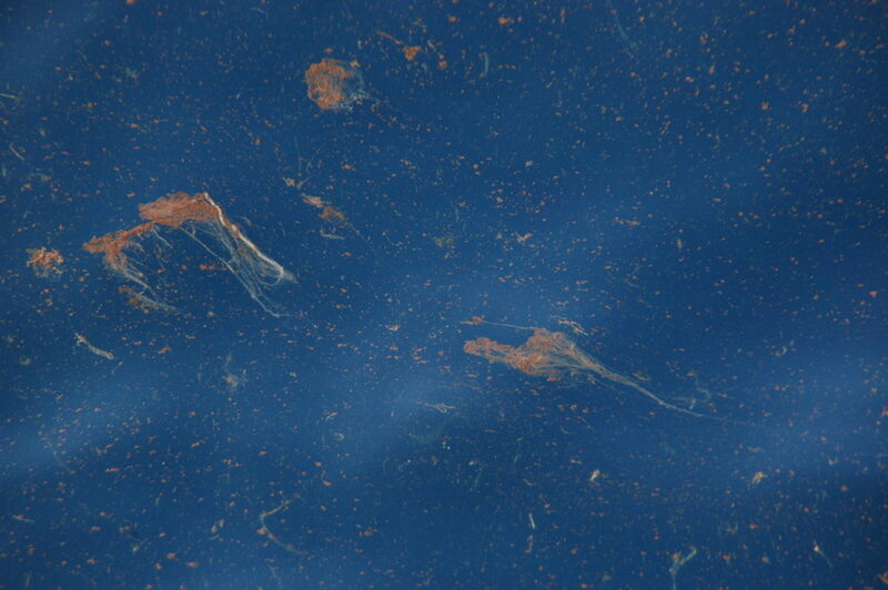 Ölaggregate, sogennanter mariner Ölschnee, bildete sich auf der Wasseroberfläche. Die weißen Filamente in den Aggregaten könnten mit dem Einsatz von Dispersionsmitteln zusammenhängen. (Bild: Samantha Joye)