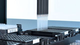 Die Positionierung der Pipettierspitzen muss äußerst exakt erfolgen. (Siko)