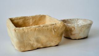 Nachhaltig und biologisch abbaubar: Verpackungen aus Pilzmyzel. (Bild: Fraunhofer IAP, Jadwiga Galties)