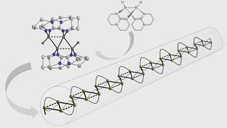 Aus zwei mach vier: In der neu entdeckten Kupplungsreaktion wird Molekül A in die (zweifach positiv geladene) Bor-Viererkette B umgewandelt, die nun als Ausgangsstoff für die Synthese von Borketten-Polymeren C dienen soll. (Bild: Universität Heidelberg)