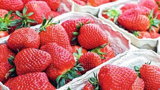 Erdbeeren gehören zu den Obstsorten mit dem größten Allergiepotential.  (gemeinfrei)