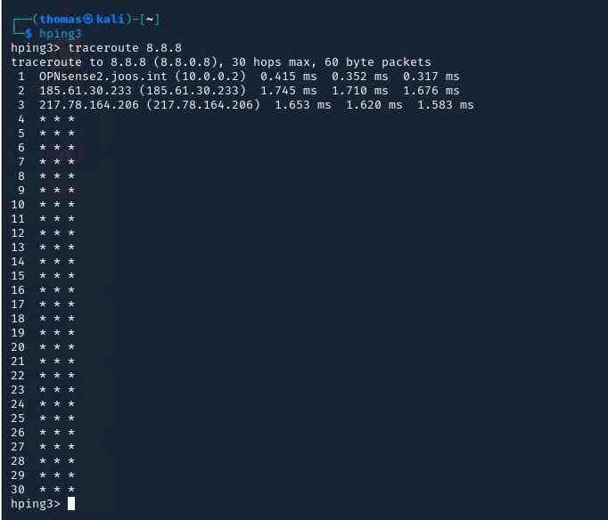 HPing zur Analyse des Verlaufs von IP-Paketen nutzen. (Bild: Joos - Kali / OffSec Services)