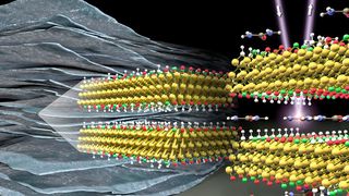 Durch Röntgenanalysen zeigen sich Veränderungen in der chemischen Struktur im Vergleich von reinen MXene (mitte) und MXene mit zwischengelagertem Harnstoff (rechts). (HZB)