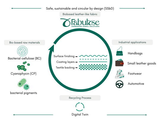 Infografik des Projekts(Bild:  Fabulose Projekt)