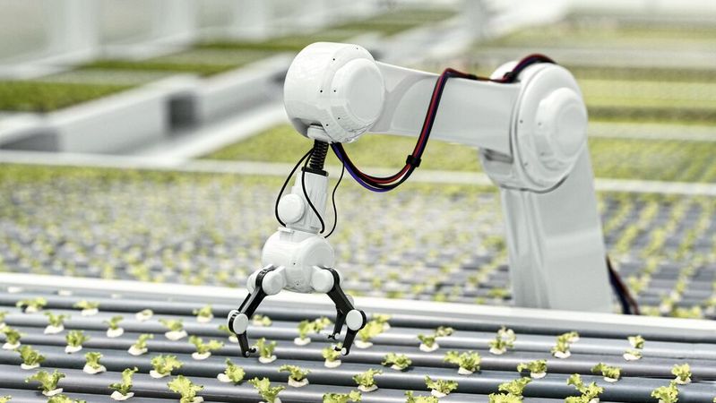 Roboter kommen in der landwirtschaftlichen Produktion immer stärker zum Einsatz.(Bild:  maxon)
