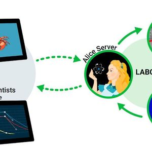 Ferngesteuertes Echtzeitprogramm der Alice-Challenge: Parameter von Experten (RedCRAB) und Bürgerwissenschaftlern (Alice Challenge) werden über eine Online-Cloud-Schnittstelle gesendet und in Echtzeit in experimentelle Sequenzen umgewandelt. Nach Durchführung des Experiments werden die Ergebnisse über die gleiche Cloud-Schnittstelle zurückgegeben.
