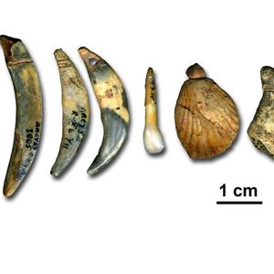 (© Marian Vanhaeren)