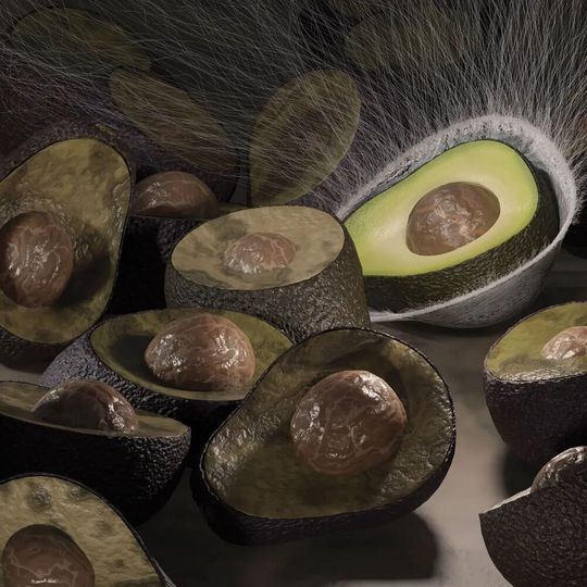 Inspired by battlefield medicine, scientists have developed an antimicrobial food wrap that reduces food waste and foodborne illness. Inspired by battlefield medicine, scientists have developed an antimicrobial food wrap that reduces food waste and foodborne illness.