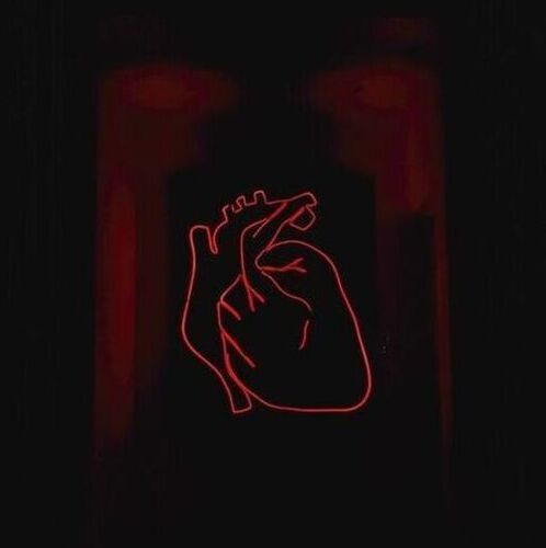 The researchers say the study adds to growing evidence that environmental pollution may affect cardiovascular health.(Source:  Unsplash)