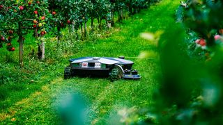 0109677424 (Bild: Brüggli)