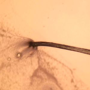 (Bild: Uni Bayreuth)