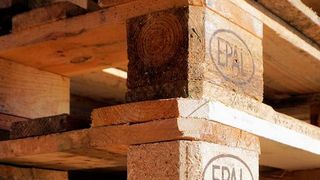 57165881v2 (Bild: Pixabay, CCO Public Domain)