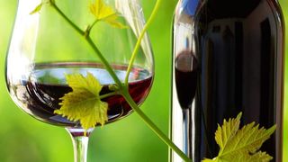 Schwefeldioxid verleiht Lebensmitteln wie Wein längere Haltbarkeit, kann aber unerwünschte Effekte hervorrufen, besonderes bei Allergikern. Mit der Neuentwicklung aus dem EU-finanzierten Projekt SO2SAY könnte das schon bald der Vergangenheit angehören. (Foto: inacio pires_Fotolia)