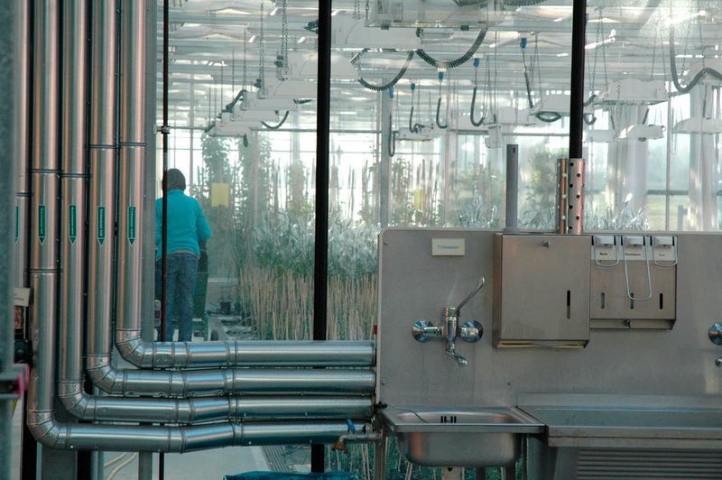 Abb. 10: Gewächshaus am JKI Quedlinburg. (Ottleben / LABORPRAXIS)