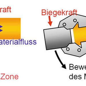 (IBF)
