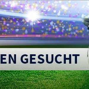 Der Distributor Wer liefert was bietet zur EM in Frankreich ein Fußball-Spezial auf seiner Homepage an.