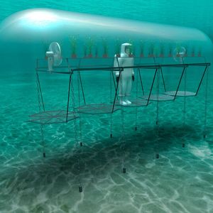 (OceanReefGroup 2022)