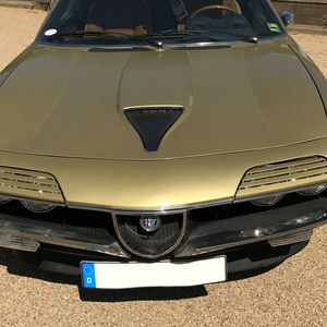 Der mit einer Saugrohreinspritzung aufwartende Rennmotor im Montreal entzog dem 64-Liter-Tank bei Vollgas-Touren zwischen 17 und 25 Liter pro 100 Kilometer.(Bild:  Autodrom)