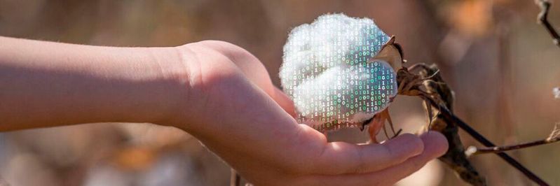 Mit dem neuen Verfahren von Tailorlux wird die Rückverfolgbarkeit der Baumwolle sogar quantifizierbar, also das Mengenverhältnis zwischen den Originalfasern und zugemischten Fasern exakt nachweisbar.(Bild:  @x-default)