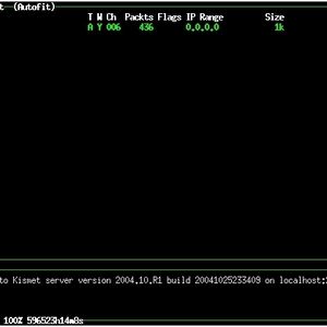 Kismet hat ein Netzwerk entdeckt.