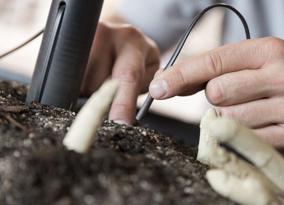 Arbeit am Spargelsensor: Bosch-Ingenieur Christian Lasarczyk bei der Arbeit mit einem Prototyp des Spargelsensors. (Bild: Bosch)