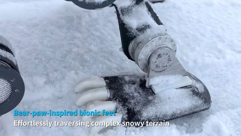 Bionic design: The Lynx S10’s foot, featuring a structure inspired by polar bear paws and “claws” for optimal grip on ice and snow. (Image:Deep Robotics)
