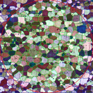 AI-powered Grain Size Analysis automates the evaluation of metallic microstructures, delivering fast, consistent, and operator-independent results. Compliant with ASTM E112 and ISO 643, it ensures reliable, standards-based  grain size measurements for quality control and research applications. (Source:  Nikon Metrology)