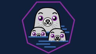 Mit Podman Desktop können Developer ihre Container-Anwendungen lokal in einer ähnlichen Umgebung betreiben, wie später im produktiven Cluster. (Bild: Podman.io)