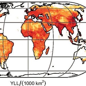 Jährlich verlorene Lebensjahre (years of life loss = YLL) aufgrund von Luftverschmutzung. Weltweit beläuft sich der Verlust an Lebensjahren pro Jahr auf 221 bis 250 Millionen.  © The Author(s) 2020. Published by Oxford University Press on behalf of the European Society of Cardiology , DOI: 10.1093/cvr/cvaa025(Bild:  Figure 1 /Münzel et al. / CC BY 4.0)