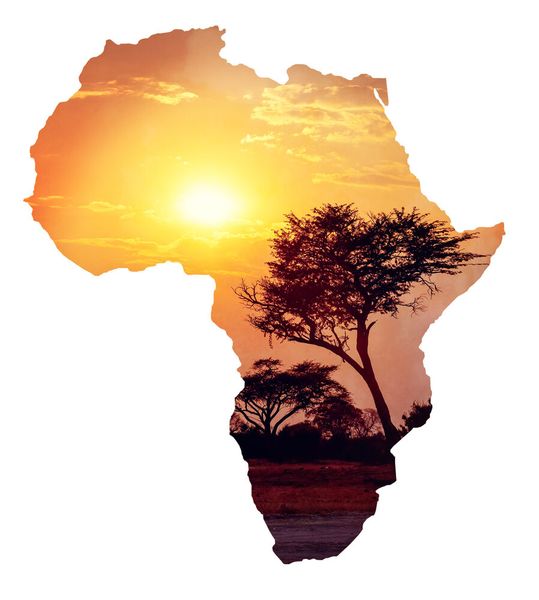 Africa: 0.1 (2025), 1.5 (2030) announced volume in million tons per annum. Sources: Hydrogen Council, McKinsey & Company, Statista 2026 (Source: © ArtushFoto - stock.adobe.com)