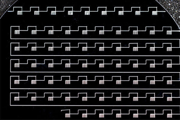 Ein Array von Anoden, jede etwa einen Quadratmillimeter klein, wartet auf den zweiten Verarbeitungsschritt: Drucken der Kathode. (Bild: MIT Technology Review)
