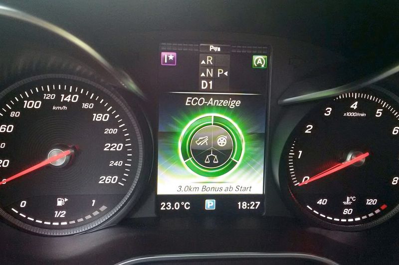 Etwas „weichere“ Methoden, um Fahrer zu einer vorausschauenden, defensiven Fahrweise zu motivieren, sind die so genannten Effizienz-Assistenten. Sie belohnen herstellerabhängig mit grünen Balken oder wachsenden Blättern an einem virtuellen Baum. (Bild: Thomas Günnel/Automobil Industrie)