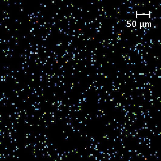 Abb. 5: (A) MS/MS-Bild von Quercetin (m/z 269,2  224,97), .... (Bild: Shimadzu Deutschland)
