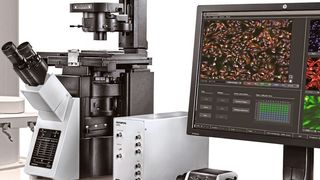 Dank künstlicher Intelligenz soll das Screening von lebenden Zellen mit der Software von Olympus noch schneller gehen. (Olympus)