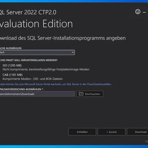 Auswählen des Downloads der Installationsdateien als ISO-Datei und Festlegen der Sprache.(Bild:  Joos (Screenshot))
