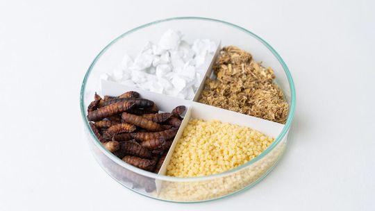 Mit Heißdampf lassen sich viele verschiedene Produkte wie Kalk, Stroh, Couscous oder Insektenlarven energieeffizient und schonend trocknen.(Bild:  Fraunhofer IGB)