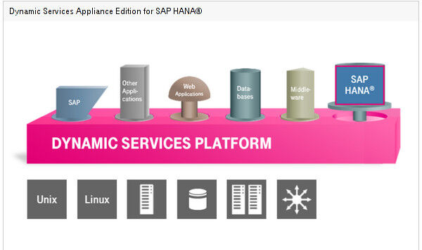 T-Systems Dynamic Services for SAP HANA verknüpft SAP SANA mit der Telekom Cloud