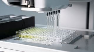 Die Liquid-Handling-Schritte einer Verdünnungsreihe können mit dem ASSIST PLUS automatisiert werden, für einen höheren Durchsatz und eine bessere Konsistenz. (Bild: Integra Biosciences AG)