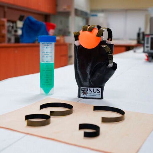 The wooden robotic gripper developed by NUS researchers can spontaneously stretch and bend itself in response to moisture, thermal and light stimulation. (Source:  NUS)