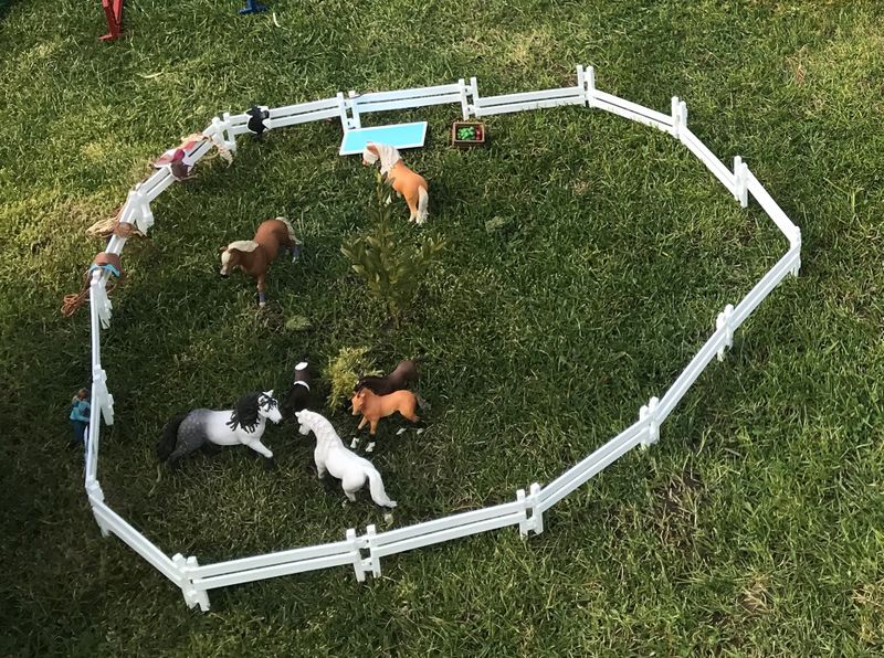 Das Leben ist kein Ponyhof, denkt sich ein acmeo-Mitarbeiter. Macht das Beste draus.  (Bild: acmeo)