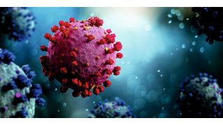 Das Coronavirus SARS-CoV-2 lässt sich über die Immunantwort von T-Zellen nachweisen (©Production Perig - stock.adobe.com)